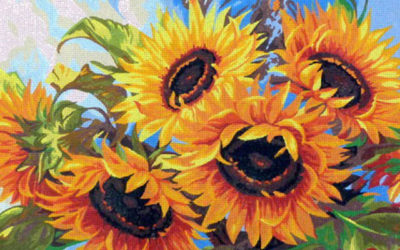 Newsletter September 2020