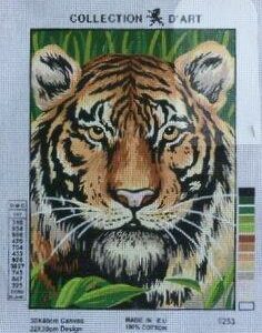 Face of Tiger TC6253